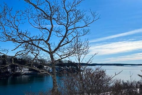 Day, Lake view