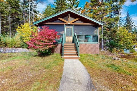 Property building, Spring, Day, Garden
