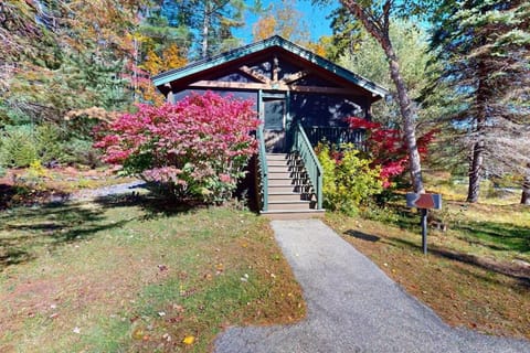 Property building, Day, Garden