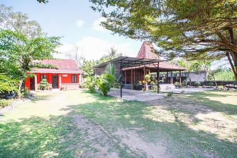 Property building, Garden, Garden view
