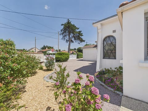 Patio, Garden, Garden view