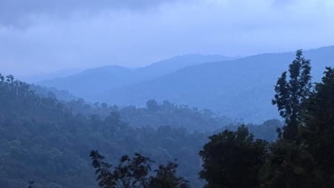 Natural landscape