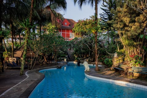 Swimming pool