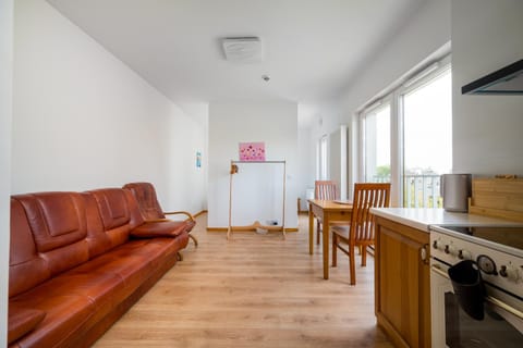 Kitchen or kitchenette, Living room, Seating area, Dining area, oven, stove