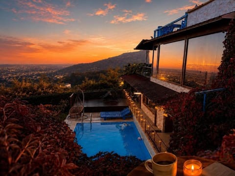 Garden, Swimming pool