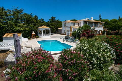 Patio, Garden, Garden view