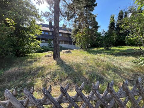 Property building, Day, Garden