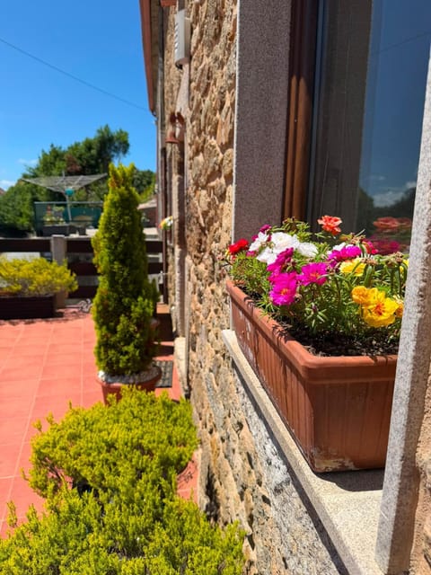 Property building, Day, Garden, Garden view
