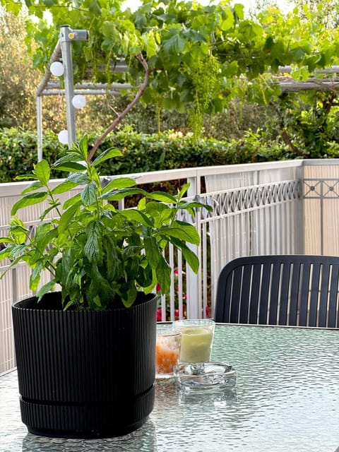 Balcony/Terrace, Garden view