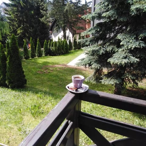 Natural landscape, Garden, Garden, Balcony/Terrace, Garden view