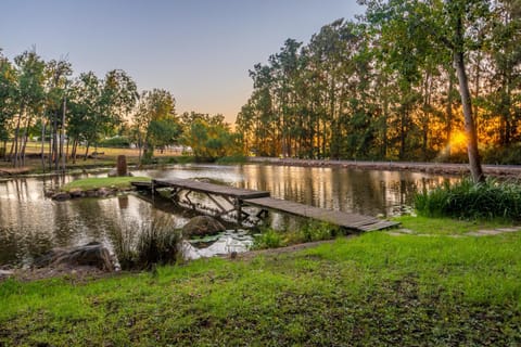 Fishing, On site, Sunset