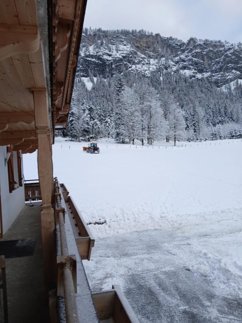 Natural landscape, Winter