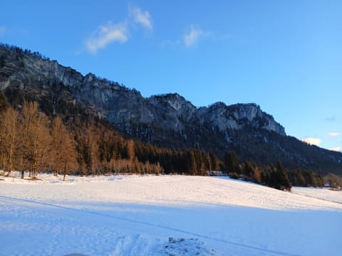 Natural landscape, Winter, Mountain view