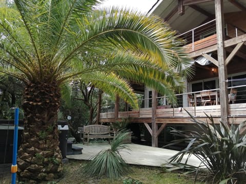 Garden view