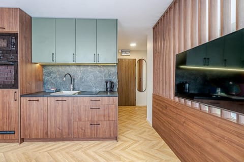 Kitchen or kitchenette, oven, stove