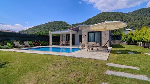 Property building, Garden, Swimming pool