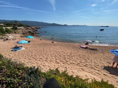 Beach, Sea view