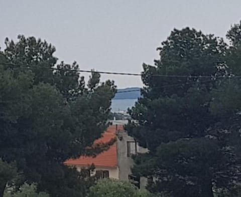 Apartment Jadranka Apartment in Zadar