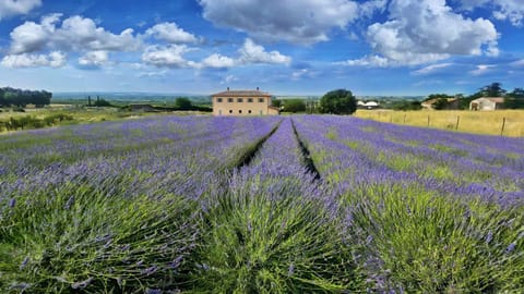Garden view, Landmark view