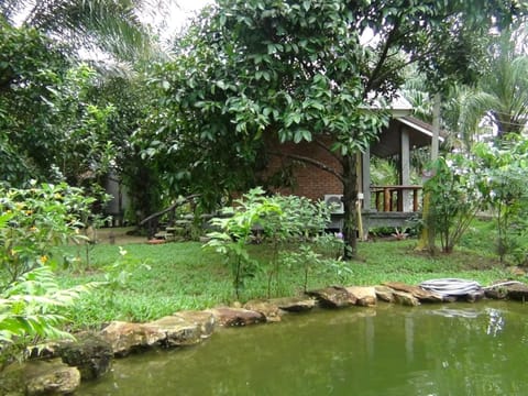 Natural landscape