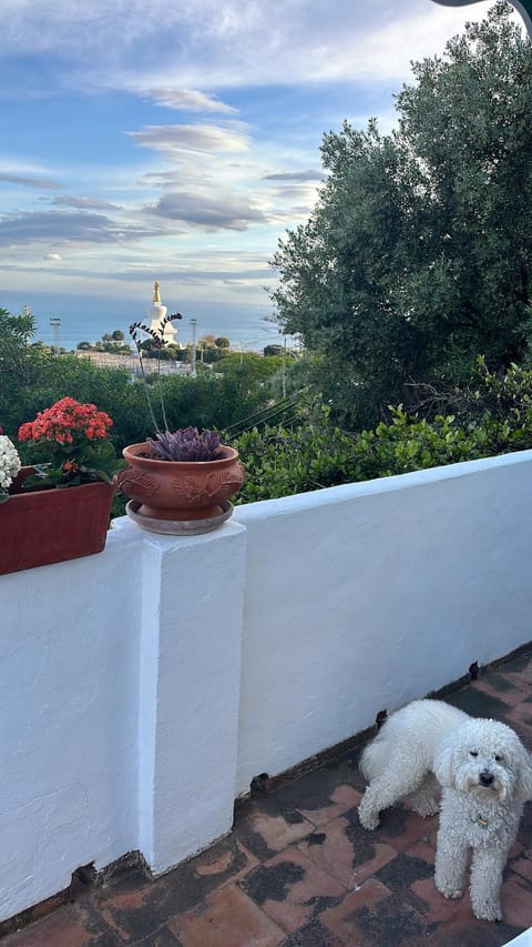 Natural landscape, Garden, Balcony/Terrace, Pets, Sea view