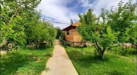 Natural landscape, Garden, Garden view