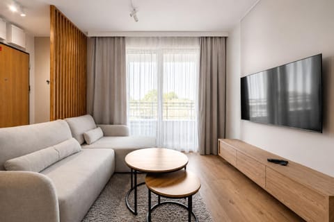 TV and multimedia, Living room, Seating area, Evening entertainment