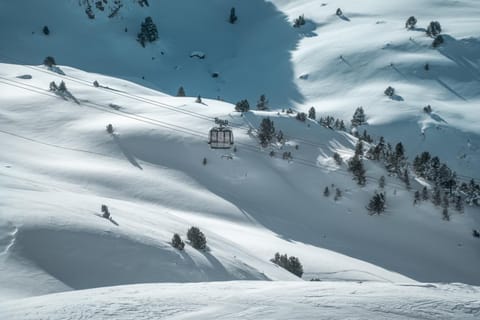 Winter, Skiing