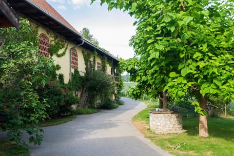 Property building, Day, Summer