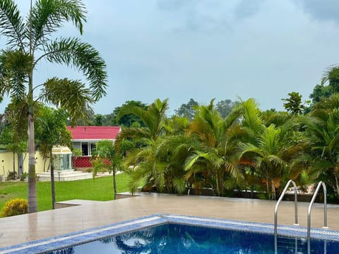 Garden, Swimming pool