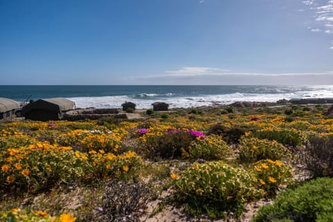 Spring, Natural landscape, Bedroom, Sea view