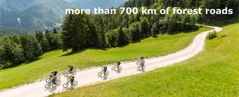 Summer, Cycling, Autumn