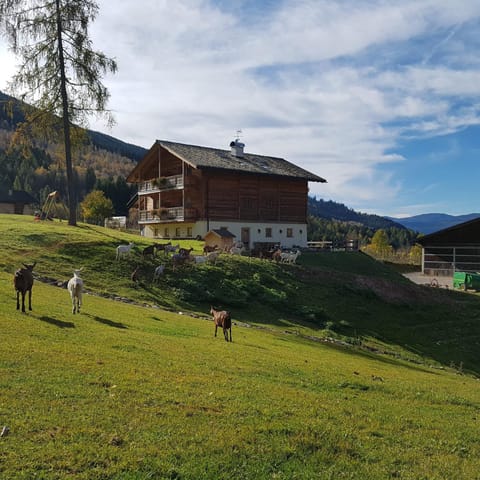 Agritur Maso Piasina Farm Stay in Trentino-South Tyrol