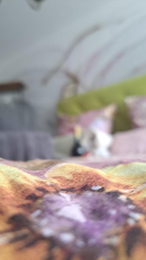Bed, Decorative detail, Bedroom