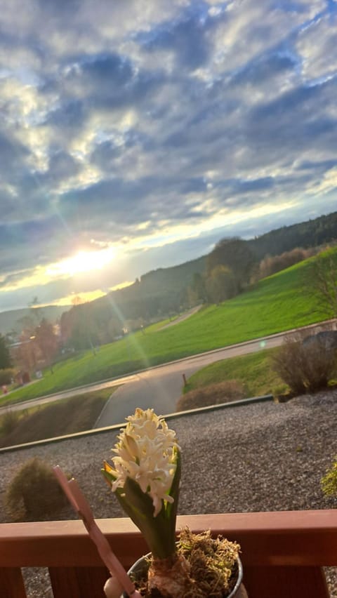 Natural landscape, View (from property/room), Sunset