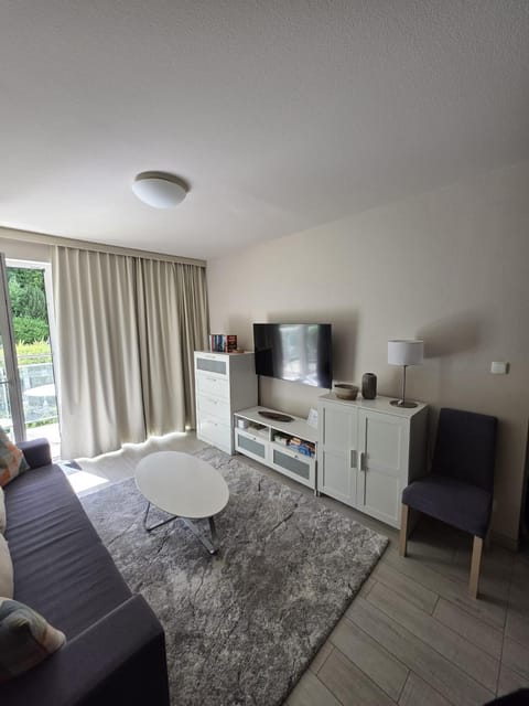 TV and multimedia, Living room, Photo of the whole room, Seating area