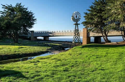 Sea view, Area and facilities