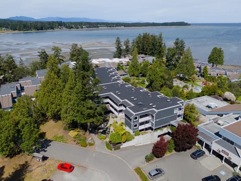 Property building, Bird's eye view