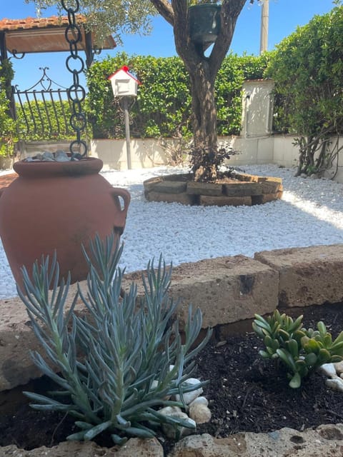 Garden view, Inner courtyard view