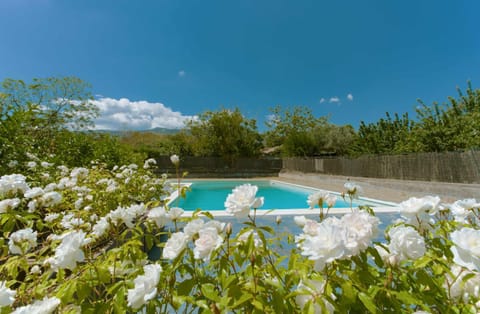 Spring, Day, Garden, Garden view, Pool view, Swimming pool