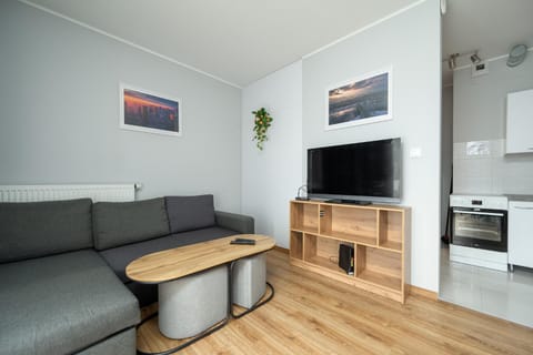 TV and multimedia, Kitchen or kitchenette, Living room, Seating area
