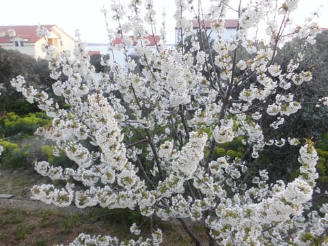 Spring, Off site, Natural landscape, Garden view