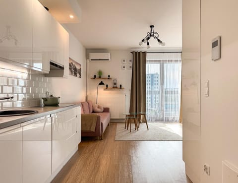 Living room, kitchen