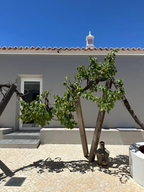 Property building, Patio, Inner courtyard view