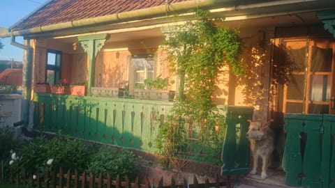 Inner courtyard view