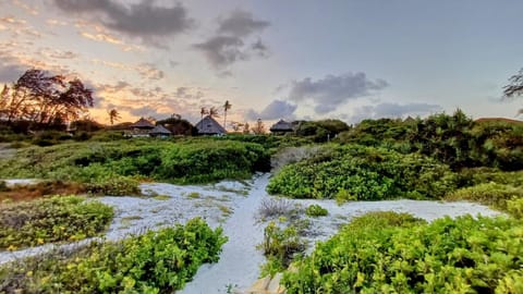 Property building, Natural landscape, View (from property/room), Beach, Sunset