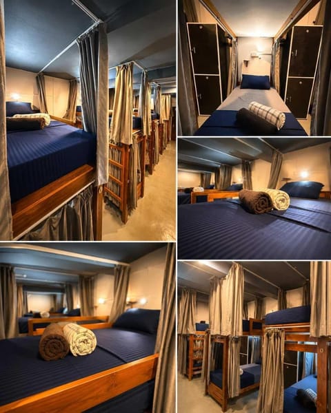 Bed, Photo of the whole room, Bedroom, bunk bed