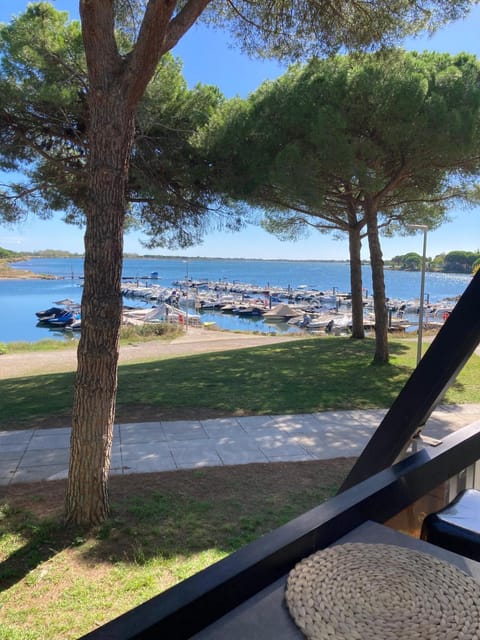 Lake view