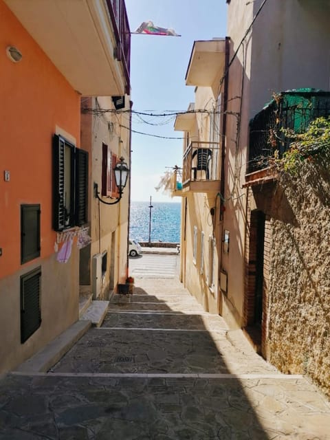 Facade/entrance, Neighbourhood, City view, Street view