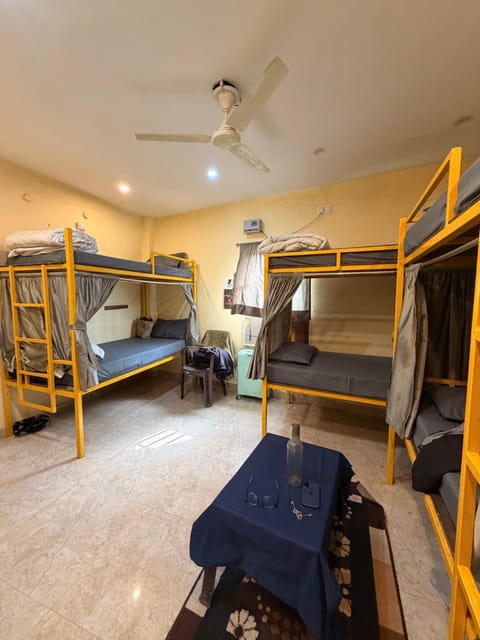 Bed, Photo of the whole room, bunk bed